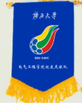 队旗 电气学院