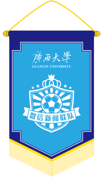 队旗 数信新闻联队