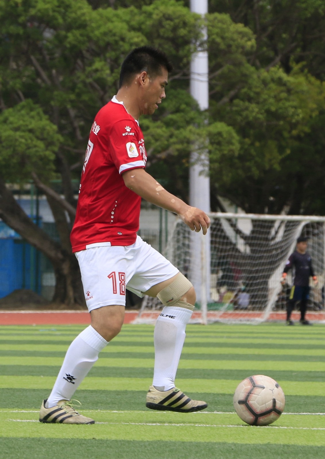 法学院VS农学院