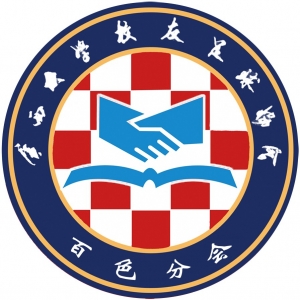 百色分会队徽 百色分会
